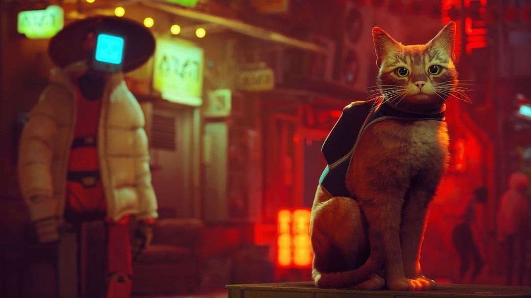 猫眼中的世界是什么样的？ 《Stray》终于登陆 Nintendo Switch